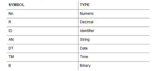 Nn for numeric, R for decimal, ID for identifier, AN for string, DT for date, TM for time, and B for binary