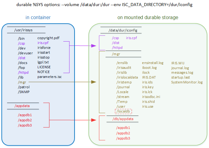 Shows how only a subset of the InterSystems IRIS installation directory in the container is copied to durable %SYS