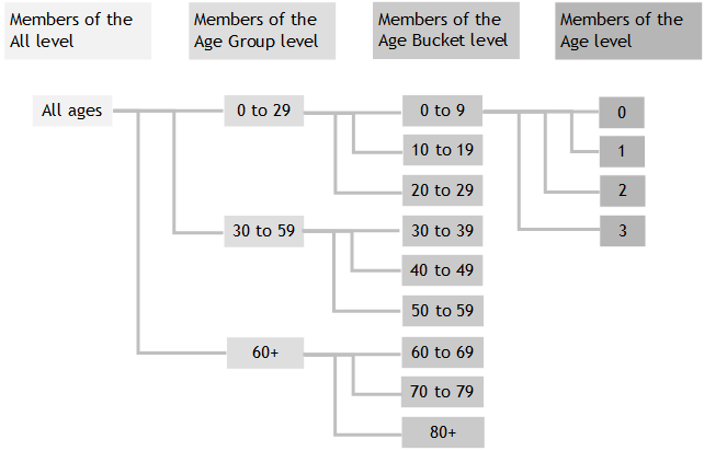 generated description: hierarchy example age