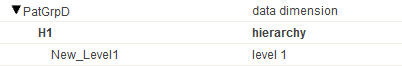 Model Viewer showing a data dimension called PatGrpD, which contains a hierarchy called H1 with a level called New_Level1.