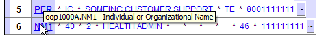 Cursor hovering over a segment name and a tooltip showing the segment address and name, Individial or Organizational Name