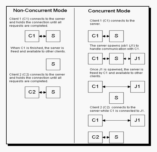 graphic uses boxes connected by two-way arrows to illustrate connections described in graphic text