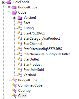 The Namespace tab in Studio, showing The HoleFoods package and a new subpackage called HoleFoods.Cube.Version1.