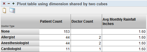 A pivot table with Doctor Type in the rows and columns for Patient Count, Doctor Count, and Avg Monthly Rainfall.