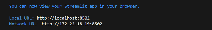 Terminal output for Streamlit app monitoring